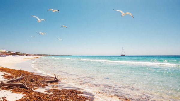 Découvrez les plages familiales incontournables à Mourillon